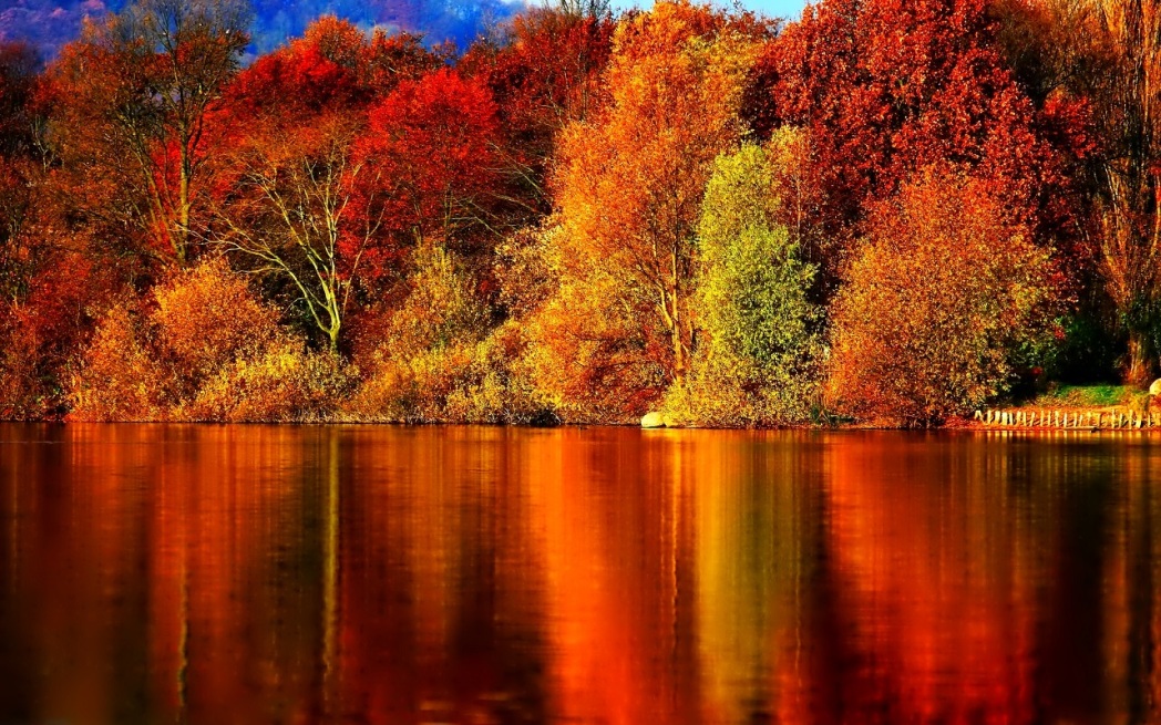 Autumn-Wallpaper-autumn-35867784-1280-800